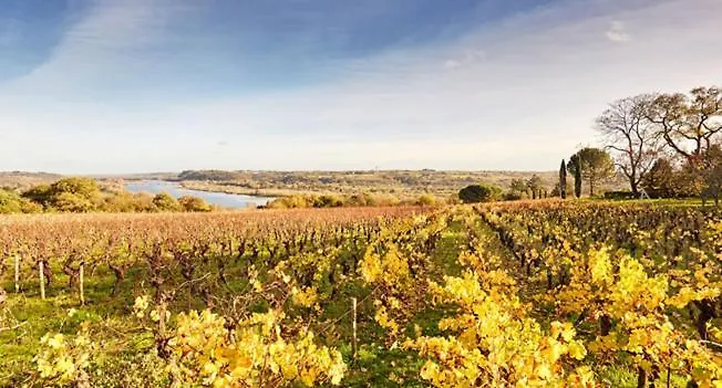 La Bureliere- For Families, Groups And Couples